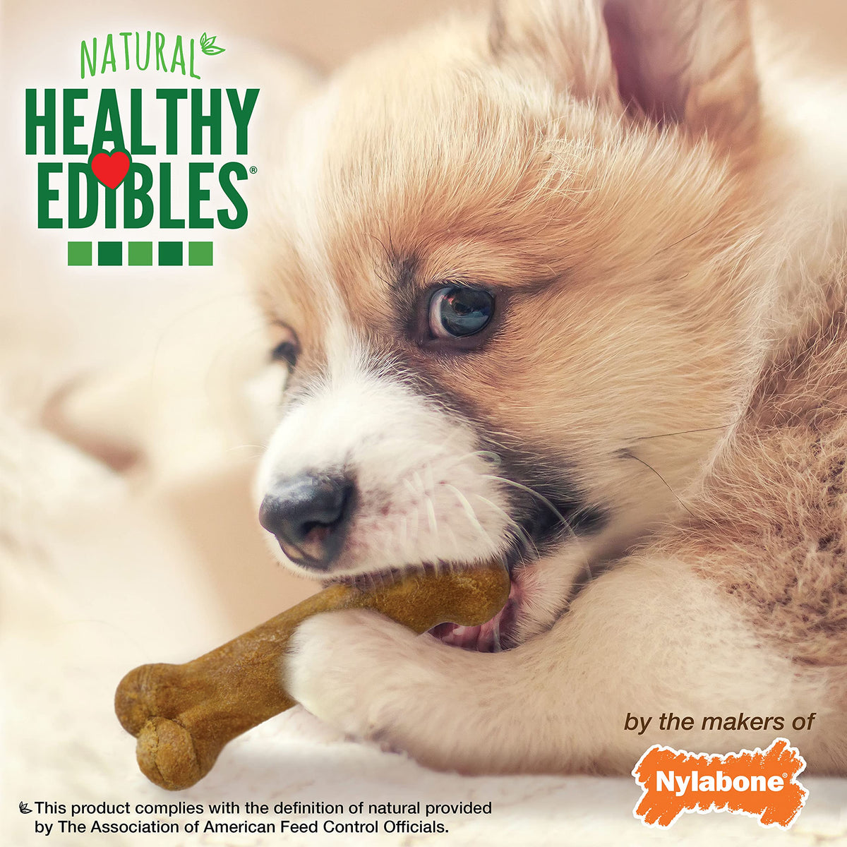 Nylabone Healthy Edibles Puppy Dog Treats Variety Pack, 3 Count
