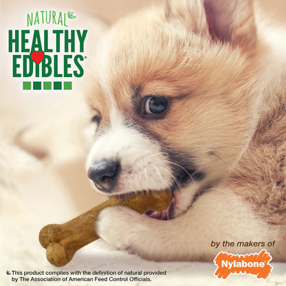 Nylabone Healthy Edibles Puppy Dog Treats Variety Pack, 3 Count