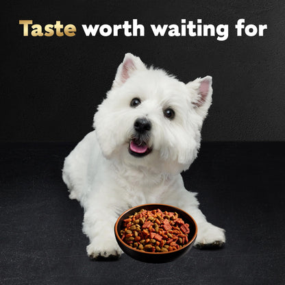 Cesar Small Breed Dry Dog Food, Filet Mignon & Spring Vegetables, 12 lb