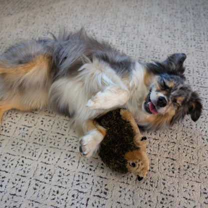 Outward Hound Hedgehogz Plush Dog Toy, Squeaks & Grunts, Medium, 9" x 6.5"