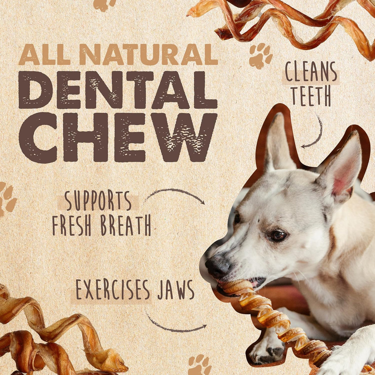 Mighty Paw Bully Sticks, Curly Grass-Fed Beef Dog Chews, 12", 5 Pack