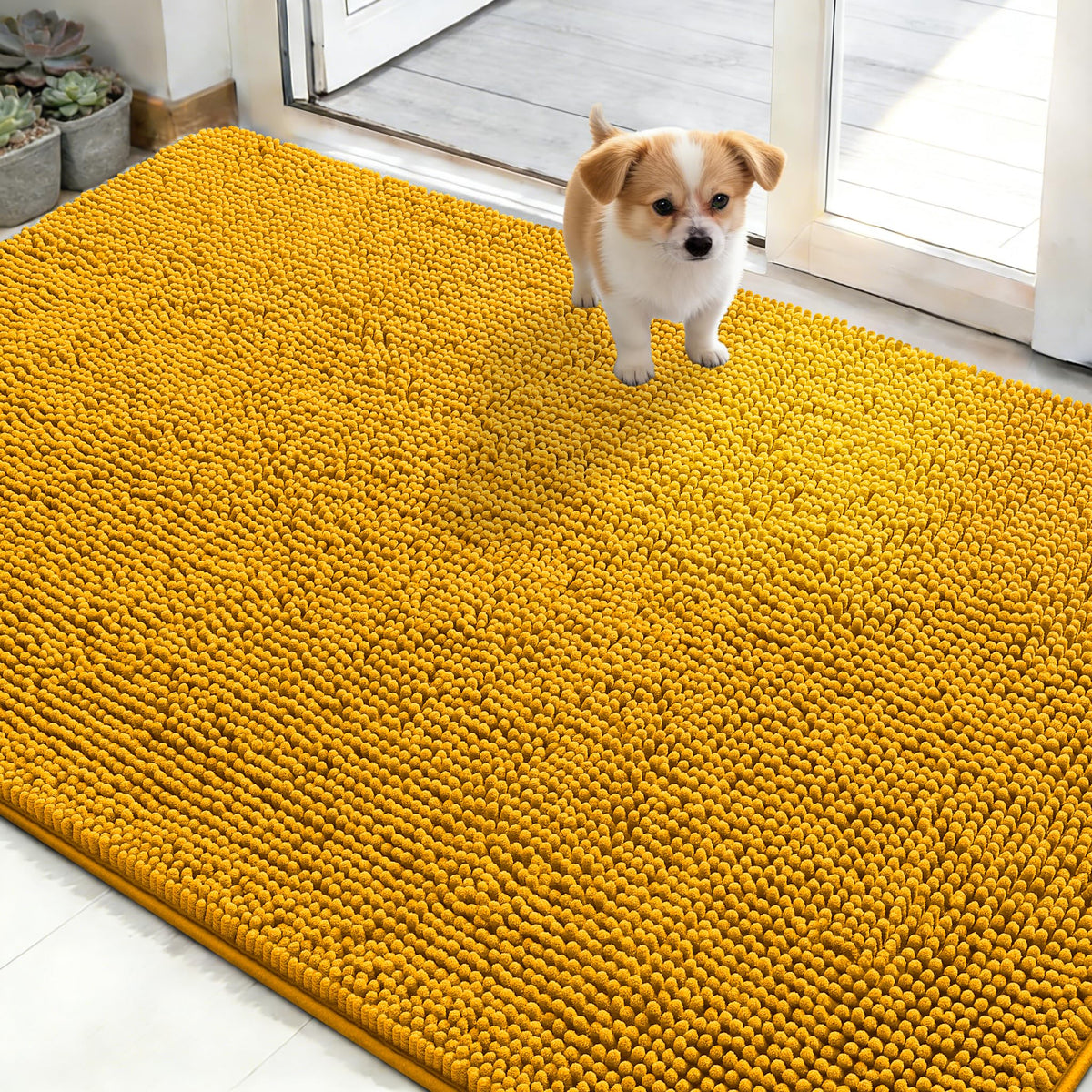 OLANLY Dog Door Mat for Muddy Paws 30x20, Super Absorbent Chenille Mud Mat