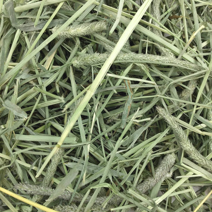 Oxbow Western Timothy Hay, Rabbit & Guinea Pig Hay, High Fiber, USA, 40 oz