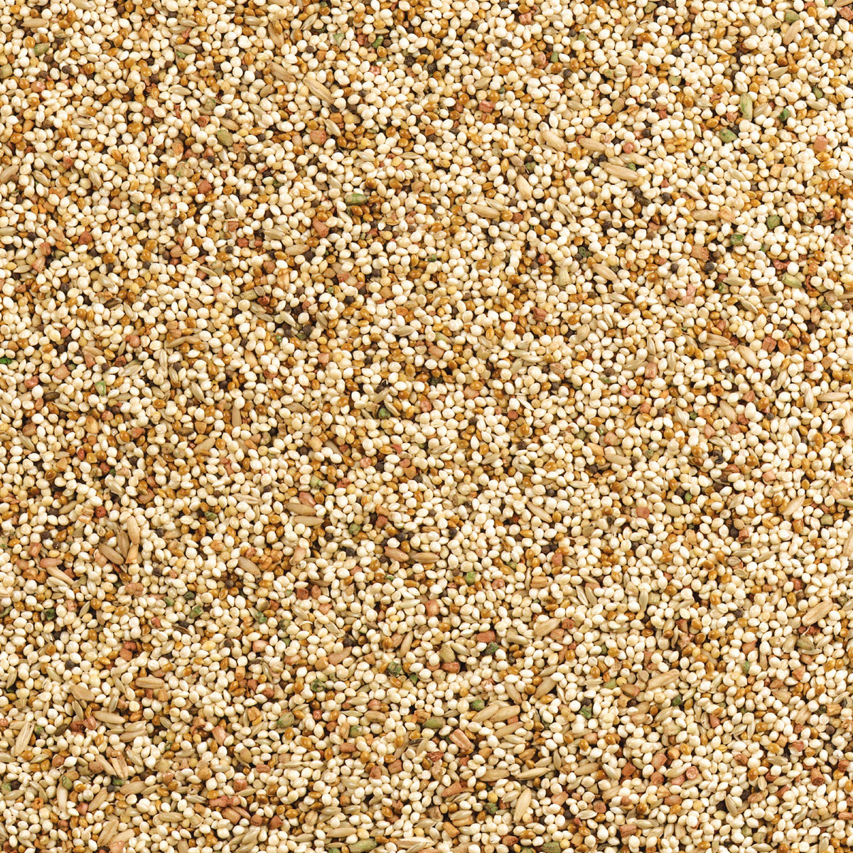 Wild Harvest Daily Blend Bird Food For Parakeet, Canary & Finch,10 lbs
