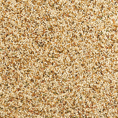 Wild Harvest Daily Blend Bird Food For Parakeet, Canary & Finch,10 lbs